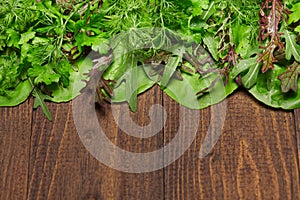 Top view of green dill, parsley, salad, herbs and other greens on a dark wooden background, concept of fresh vegetables and