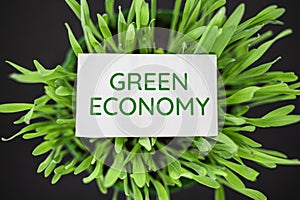 Top view of green grass with text green economy. Eco, ecology concept