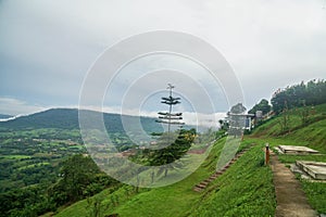 top view of green hill viewpoint with grass and trees in morning