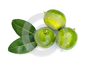 Top view of green lemon lime citrus with leaves isolated on white background