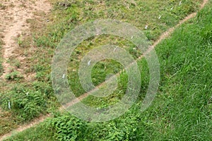 Top view with green meadow and small way