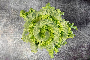 Top view Green oak lettuce on concrete table