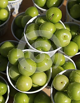 De verde ciruelas o rizos en taza sobre el en calles en primavera muy afilado agrio 