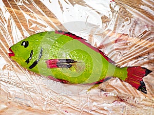 Top view of green red and black painted Orata fish