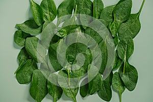 Top View of greenery spinach leaves