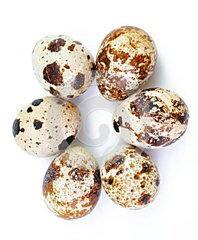 Top view group of quail eggs over white background