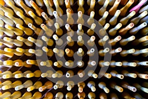 Top View Group of Silk Spools without Silk Thread Yarn