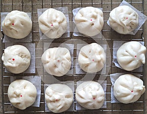 top view of group of Steamed Buns laying on stainless tray at food industry factory, pre-cook food business.