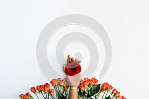 top view of hand on dummy with red rose and beautiful rose flowers