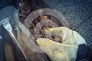 Top view hand in gloves on ladder cleaning dried leaves from gutter in America