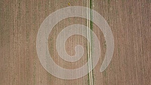 Top view of a harvested cereal field. Forest and mowed field near the reservoir