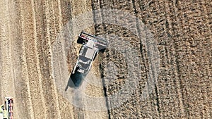 Top view of the harvester-thresher collecting wheat