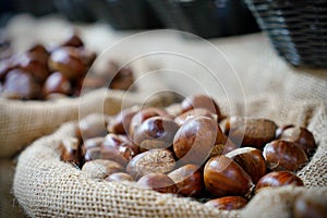 Top view heap of chestnuts.