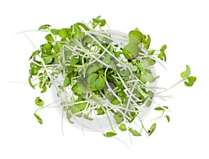 Top view of heap from fresh mustard cress isolated