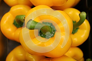 Top View of Heap of Vivid Yellow Fresh Ripe Bell Peppers with Green Stems