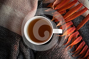 Top view herbal tea in white cup on background from knitted scarf and orange autumn leaves