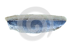 Top view of herring fillet isolated on white background with clipping path and copy space. Matie filet isolated on white backgroun