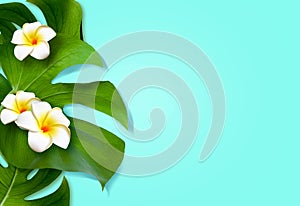 Top view of holiday travel beach with flower plumeria and monstera leaves on blue background.