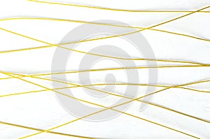 Top view if colored golden wire on the white background