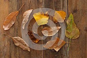 top view image of autumn leaves over wooden textured background.