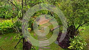 Top view image, Curve pattern of brown laterite walkway in a tropical garden, greenery fern epiphyte plant, shrub and bush