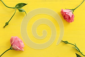 Top view image of pink rose flowers composition over wooden yellow background .Flat lay