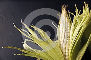 Corn Cob background