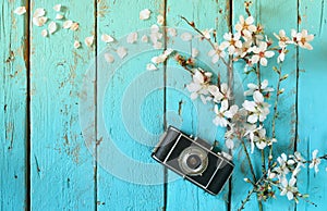 Top view image of spring white cherry blossoms tree next to old camera on blue wooden table