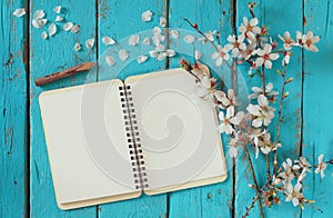 Top view image of spring white cherry blossoms tree, open blank notebook next to wooden colorful pencils on wooden table