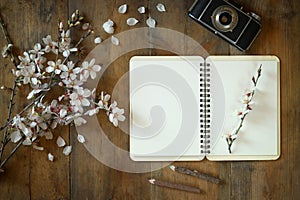 Top view image of spring white cherry blossoms tree, open blank notebook, old camera on blue wooden table