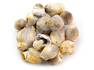 Top view image Straw mushrooms.