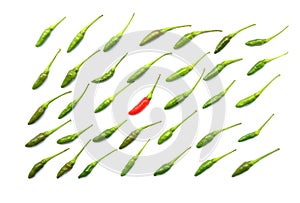 Top view of isolated green fresh Thai chili arranged in a neat rows by have red chilli in middle on white background