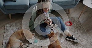 Top view of joyful young woman playing with adorable shiba inu puppy while another dog sleeping on carpet at home