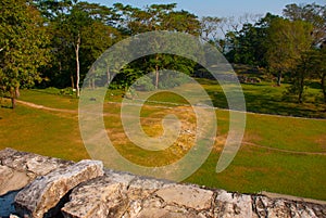 Top view of the jungle and the ancient Mayan city. Palenque, Chiapas, Mexico.