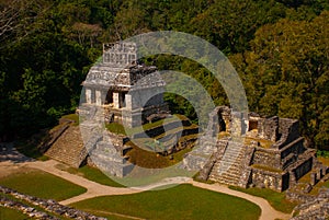 Top view of the jungle and the ancient Mayan city. Palenque, Chiapas, Mexico.