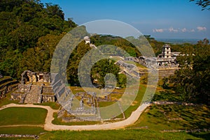 Top view of the jungle and the ancient Mayan city. Palenque, Chiapas, Mexico.