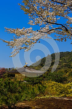 Top View of Kinkakuji temple , Kyoto in Japan