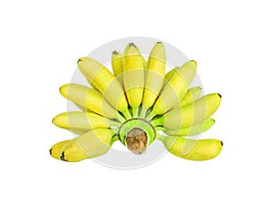 Top view lady ripe finger bananas or pisang mas isolated on white background