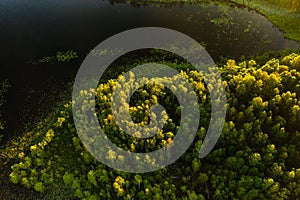 Top view of the lake Bolta in the forest in the Braslav lakes National Park, the most beautiful places in Belarus.An island in the