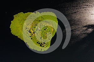 Top view of lake Drivyaty in the Braslav lakes National Park, the most beautiful lakes in Belarus.An island in the lake.Belarus