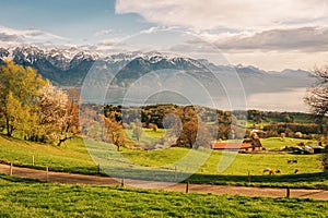 Top view on lake Geneva, Switzerland