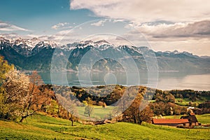 Top view on lake Geneva, Switzerland