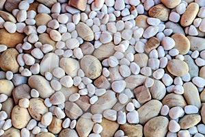 Top view of the landscaping of pebble stones in the garden