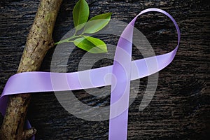 Top view of lavender or light purple orchid color ribbon with growing tree plant on dark wooden background. General and testicular