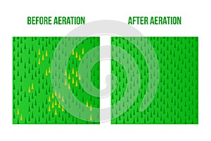 Top view Lawn Aeration. Before and After stage. Vector stock sign surface illustration Bad good lawn
