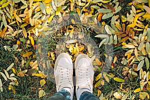 Top view of legs in boots on the autumn leaves. Autumn fall