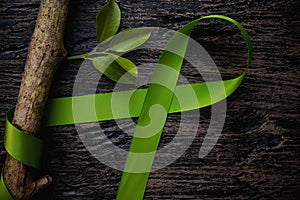 Top view of lime green color ribbon with growing tree on dark background. Non-hodgkin lymphoma cancer, lyme disease, muscular dyst