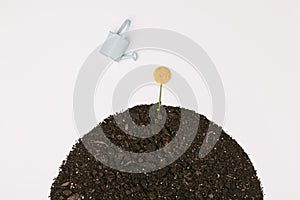 top view of little blue watering can and yellow chrysanthemum flower in ground