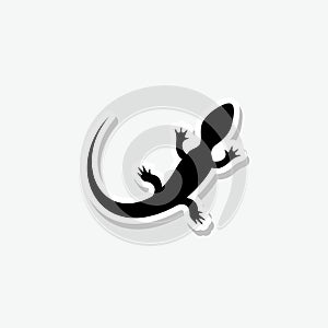 Top view lizard sticker icon isolated on gray background