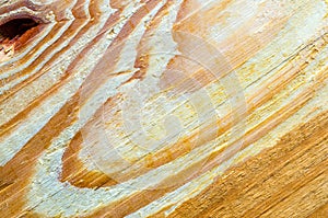 Top view macro natural pine wooden texture